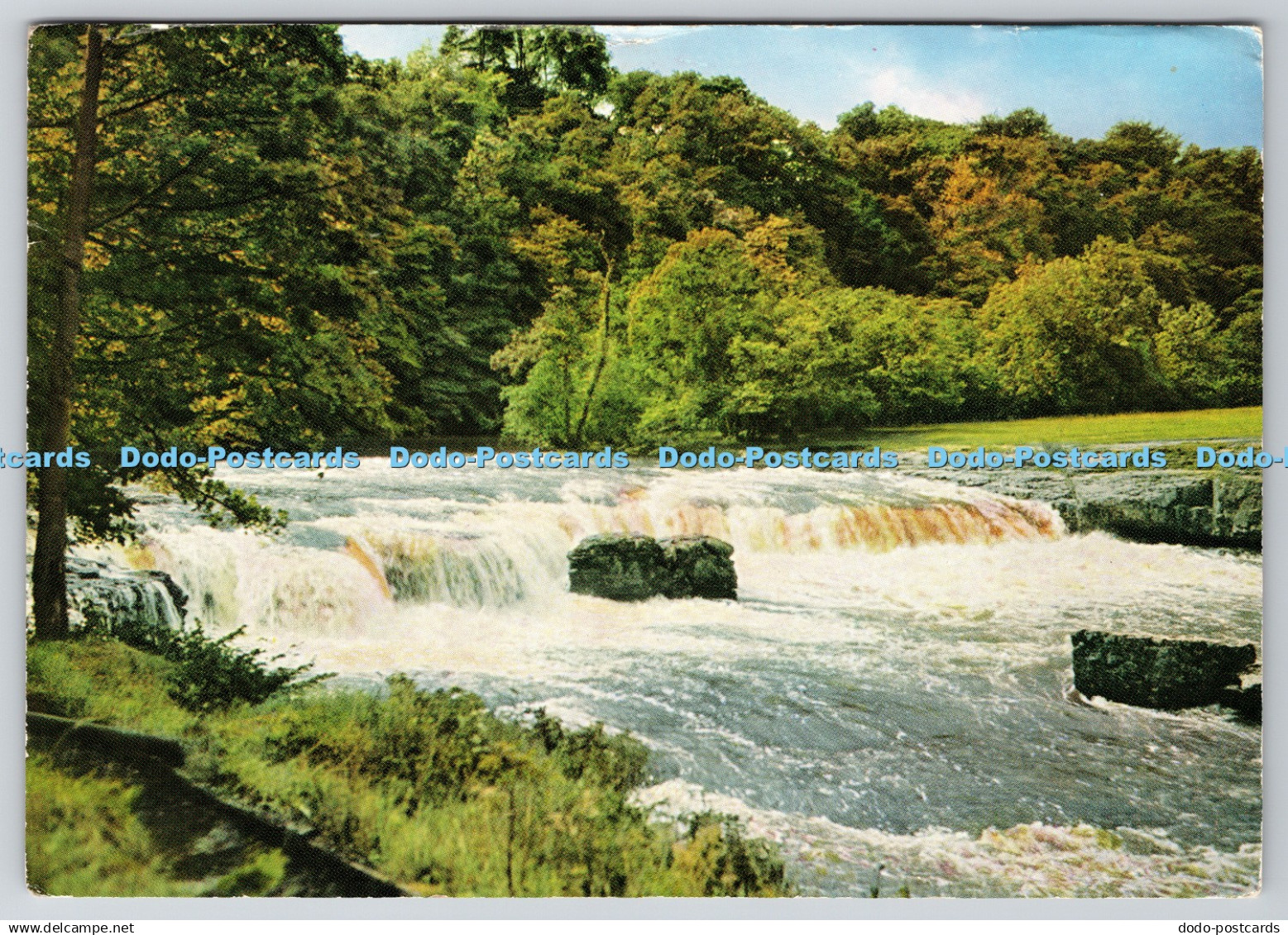 D315960 Wensleydale. Aysgarth. Upper Falls. Geo. W. Hare. Leyburn. Great Britain