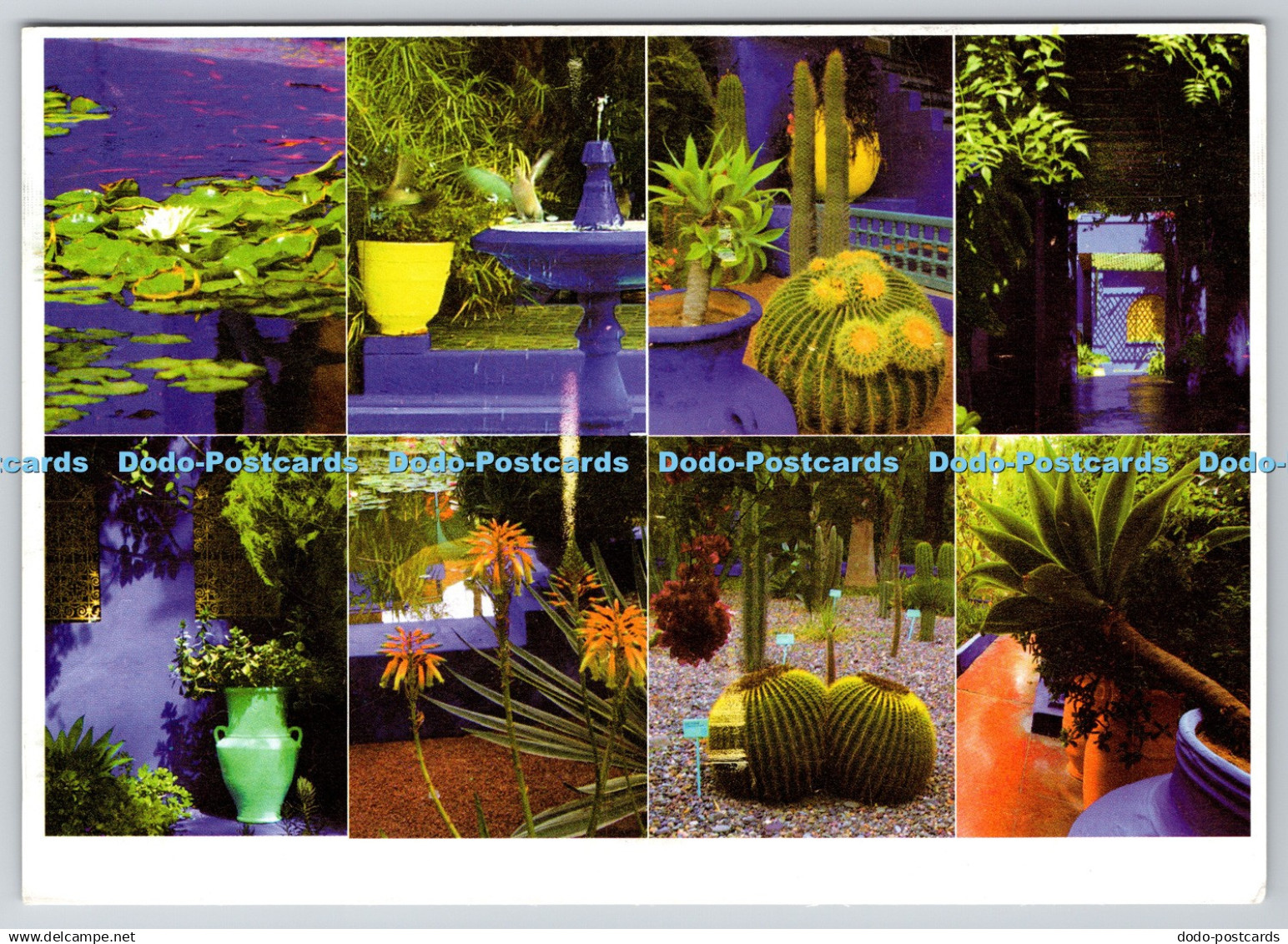 D316674 Marrakech. Jardin de Majorelle. Visium. PM Marrakech. 2013. Multi View