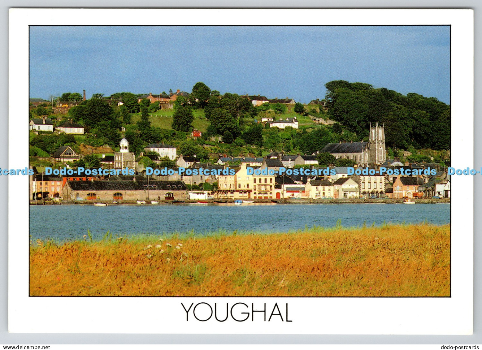 D317090 Youghal. 30 miles east of Cork city. Peter Zoller. Insight Cards Ltd. Du
