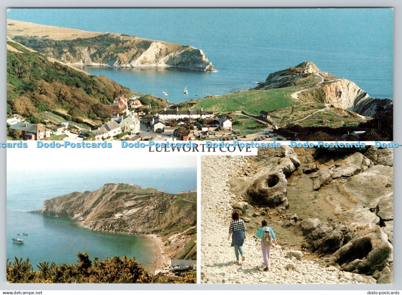 D318955 Dorset. Lulworth Cove. Cove from Dorset Coath Path. Delpool Picture Libr