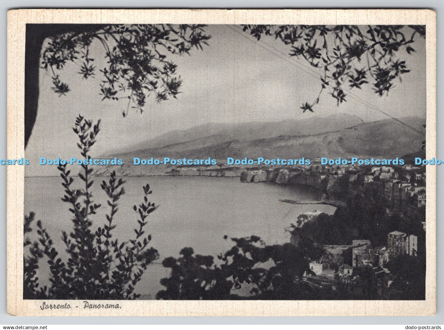 D320845 Sorrento. Panorama. G. Di Maio. Serta Rho