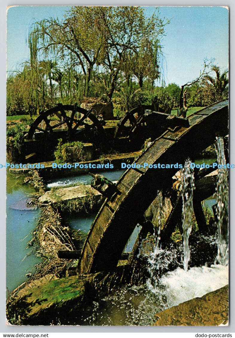 D321163 Arab Republic of Egypt. Fayoum. Waterwheel. Al Ahram. Cairo. Dino Sassi.