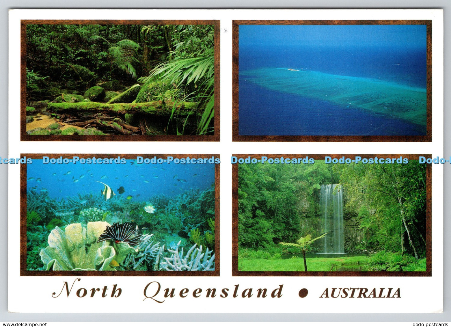 D321928 Australia. North Queensland. Great Barrier Reef. Rainforest. Murray View