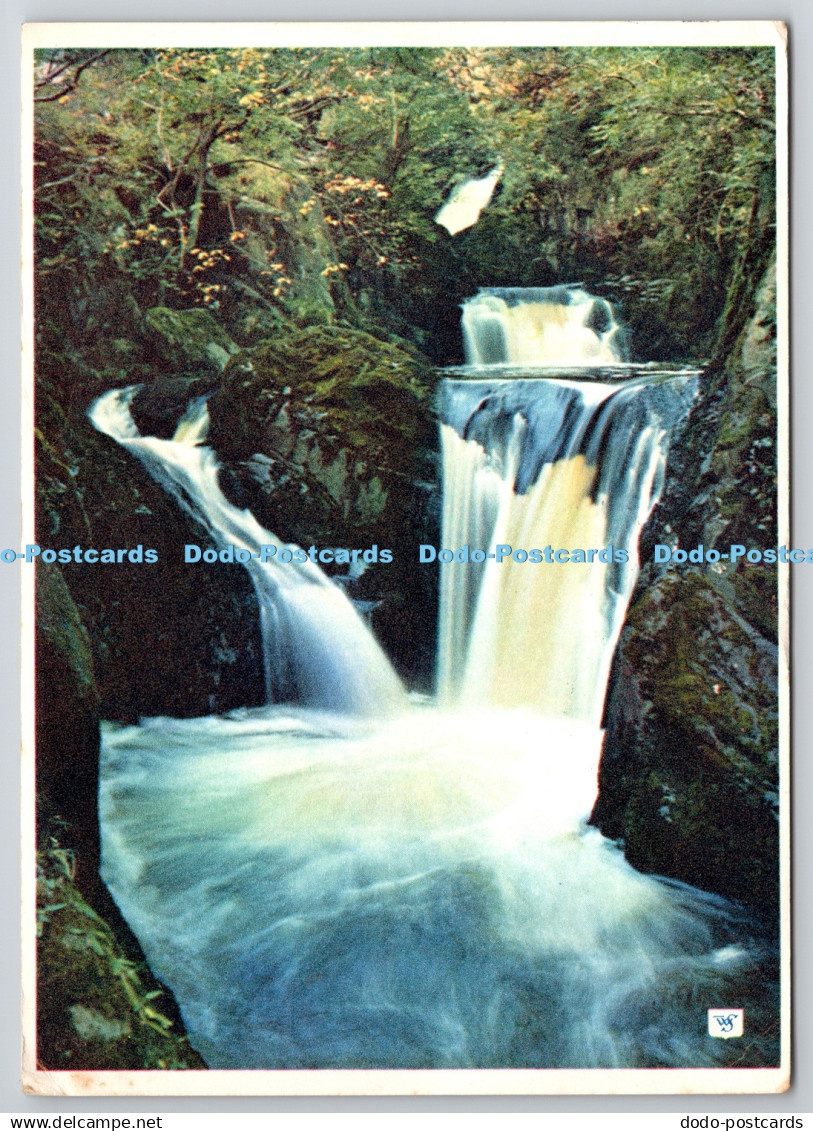 D322283 Pecca Twin Falls. Ingleton. Yorkshire. Walter Scott. Bradford. PM Cardfo