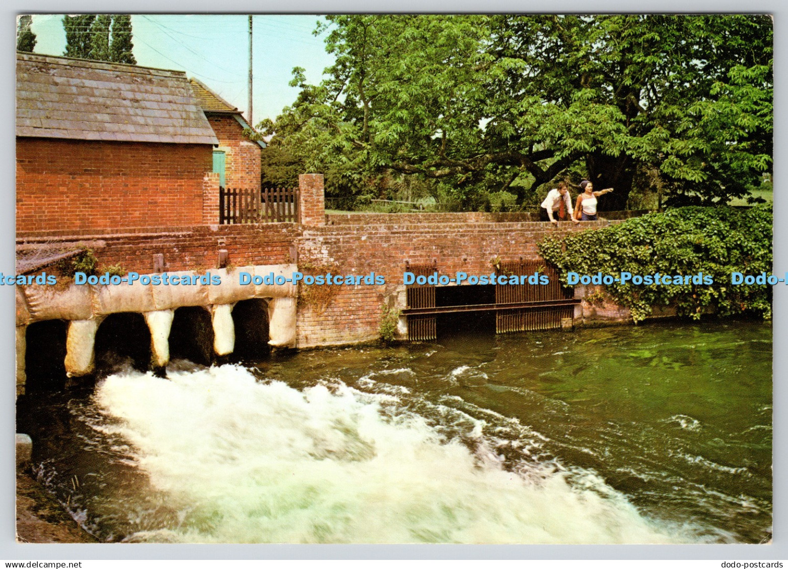 D323221 Salmon Leap. Romsey. Hampshire. DRG. J. Arthur Dixon. A Dickinson Robins