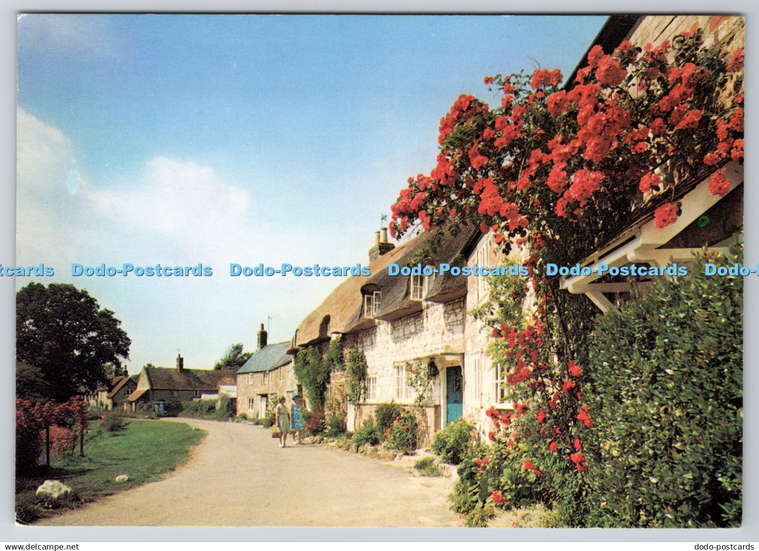 D323518 Winkle Street. Calbourne. Isle of Wight. DRG. J. Arthur Dixon. Dickinson