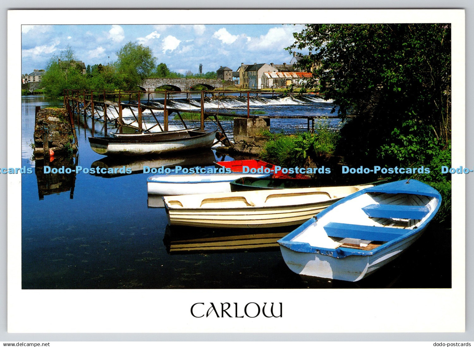 D324161 Carlow. Peter O Toole. John Hinde Ltd. Ireland