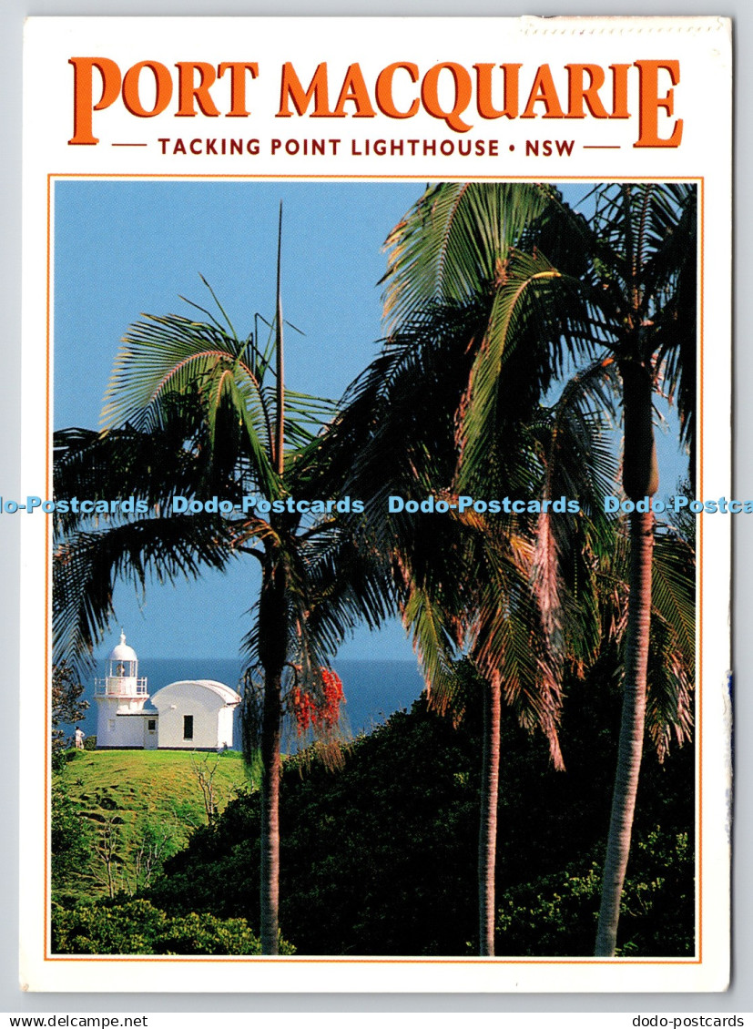 D326150 New South Wales. Port Macquarie. Tacking Point Lighthouse beyond the pal