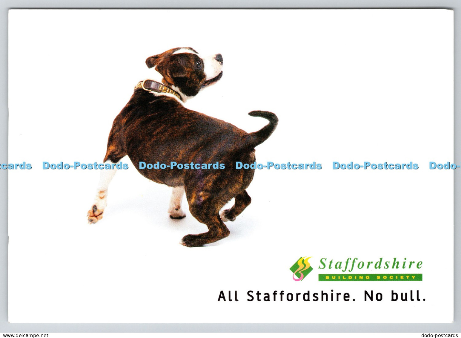 D326998 Dog. Staffordshire Building Society. All Staffordshire. No Bull. Wolverh