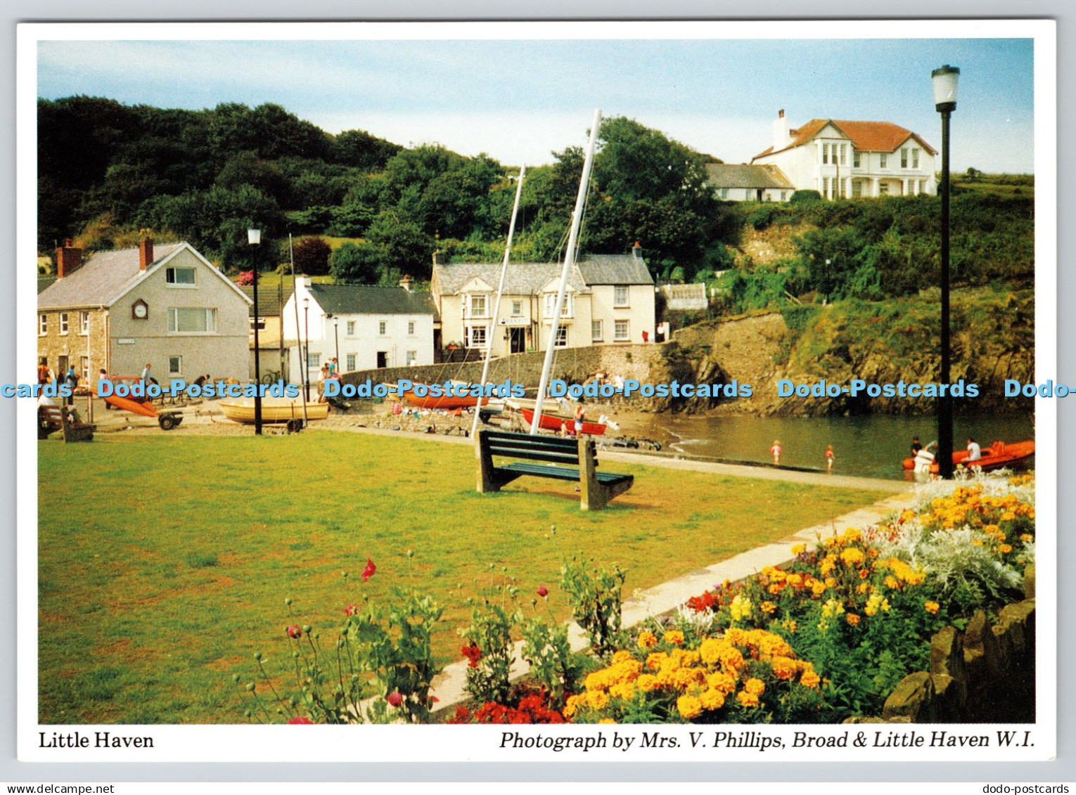 D327477 Little Haven. Mrs. V. Phillips. Broad and Little Haven W. I. Dyfed Pembr