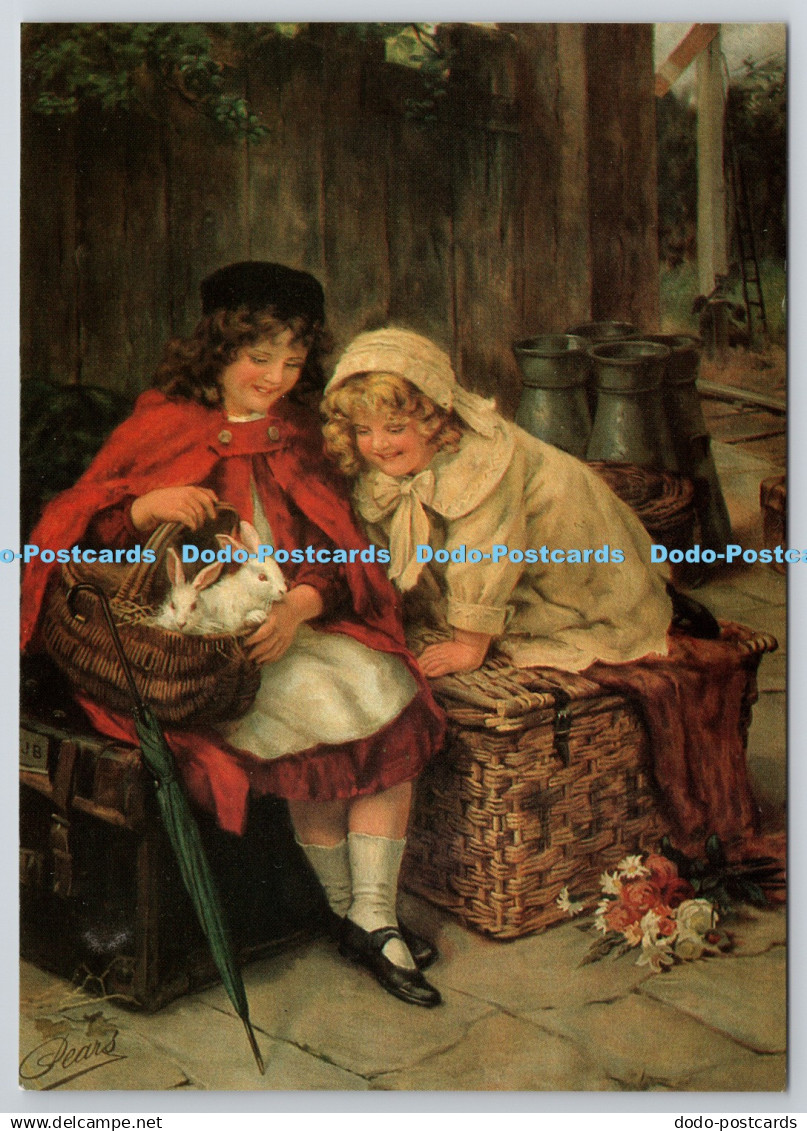 D330370 Pets. G. Sheridan Knowles. A. and F. Pears. Camden Graphics 1979. London