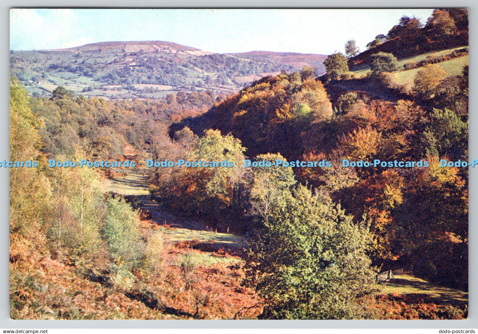 D330718 Breconshire. Llangenny Near Crickhowell. J. Arthur Dixon. Newport. I. W.