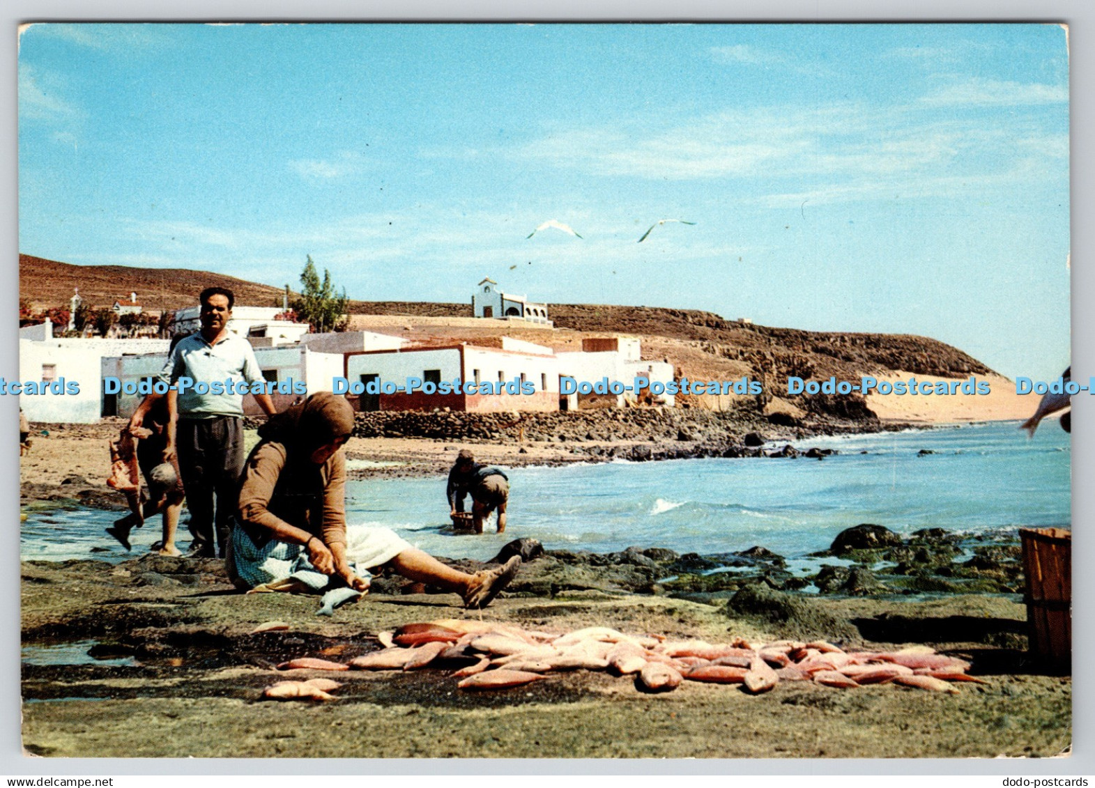 D332303 Jandia. Fuerteventura. The Morro Jable bay. Arribas