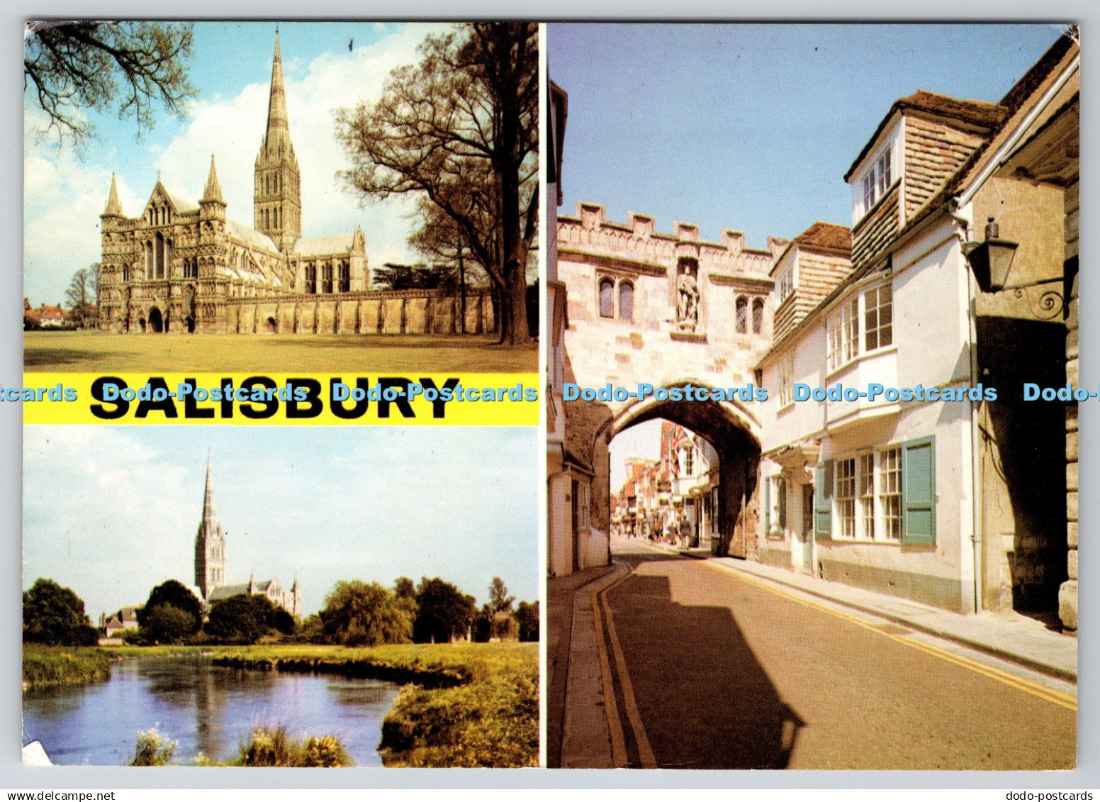 D332658 Salisbury. Salisbury Cathedral. The North Gate. J. Arthur Dixon Ltd. Mul