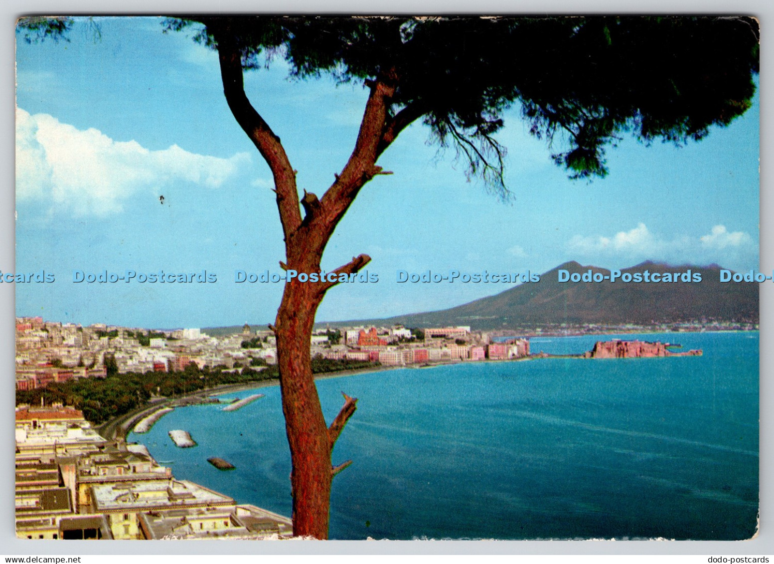 D332743 Naples. Panorama. da Fotocolor