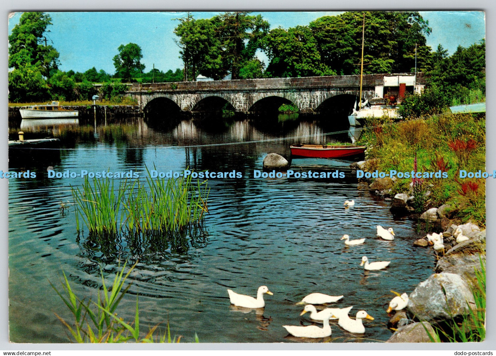 D332912 Co. Leitrim. The River Shannon at Jamestown. Situated on a Loop of the R