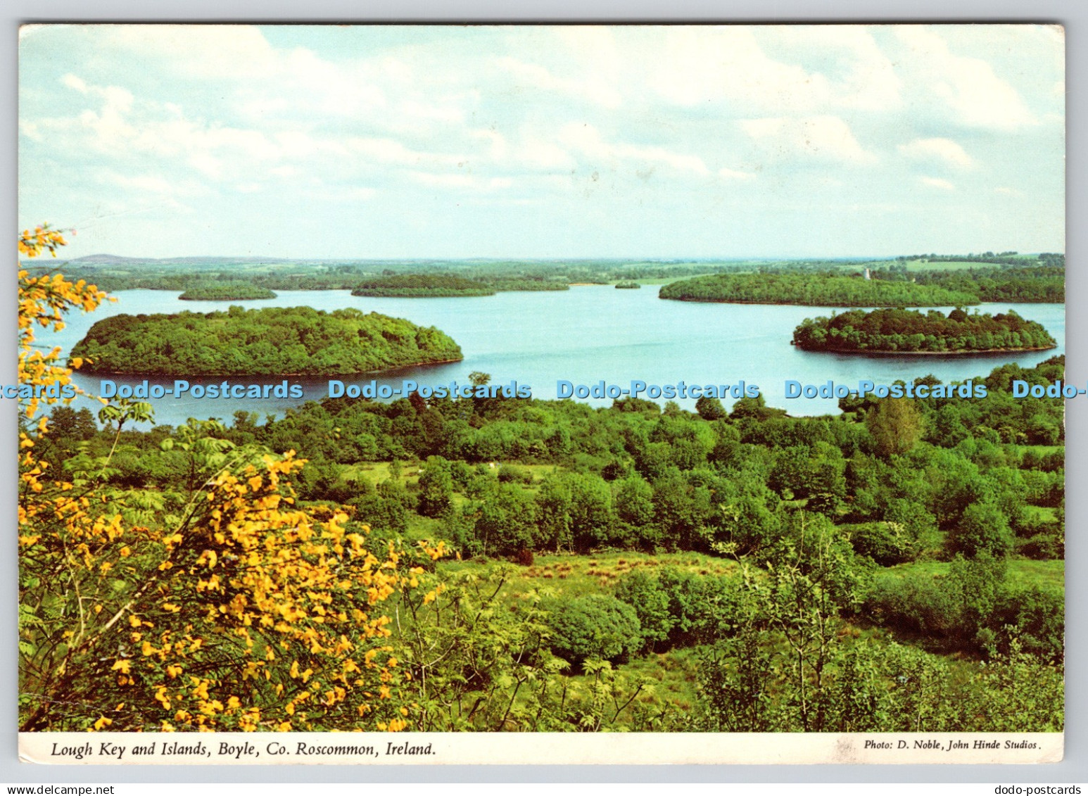 D333123 Ireland. Co. Roscommon. Boyle. Lough Key and Islands. John Hinde Ltd. D.