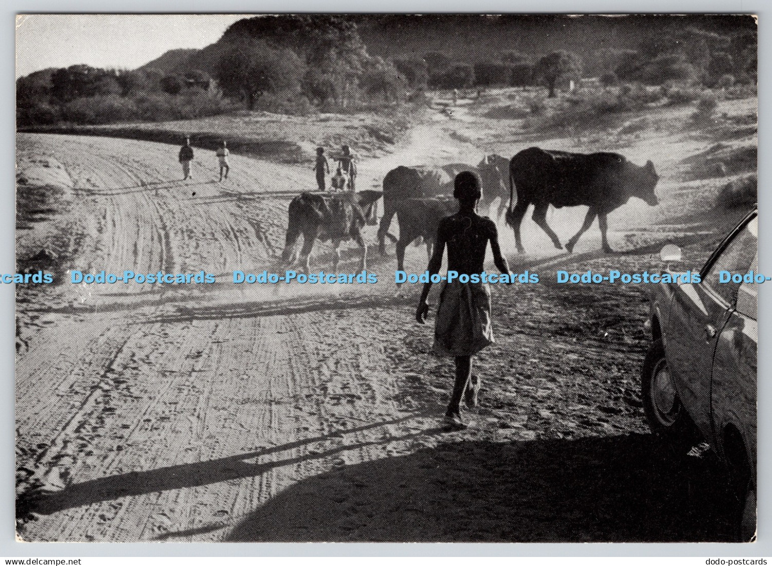 D333178 Gabane. Botswana Ltd. Michael Kahn