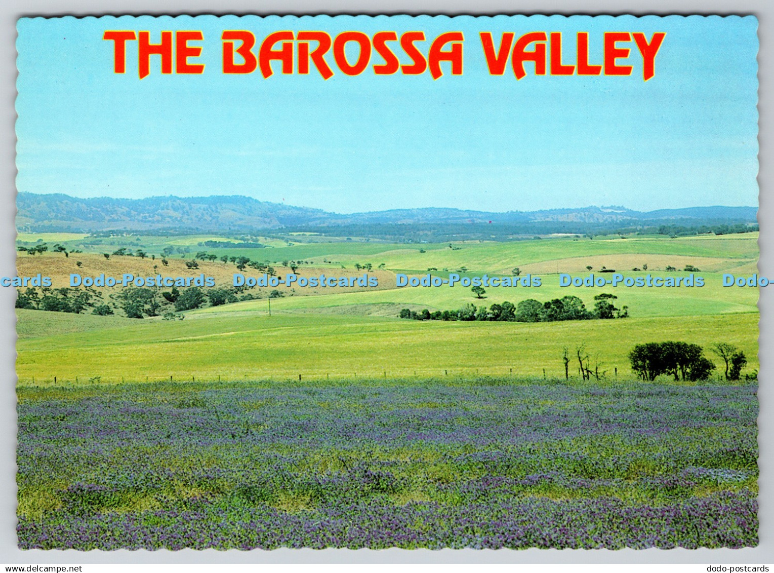 D334485 The Barossa Valley. South Australia. True View. An Eye Ci in See
