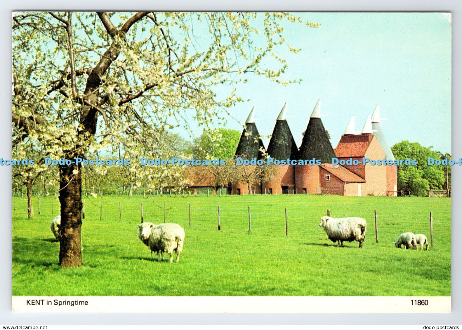 D336100 Kent. In Springtime. Bennett. Lenham. Kent. U. K
