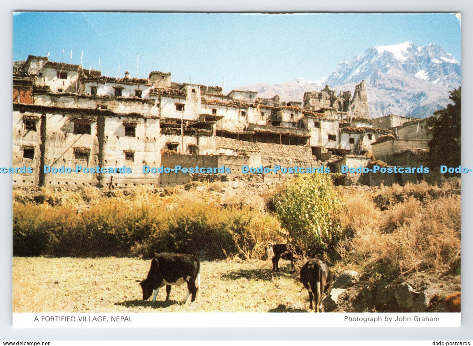 D337120 Nepal. A Fortified Village. St. John Vaughan Estate Agents. Judges. John