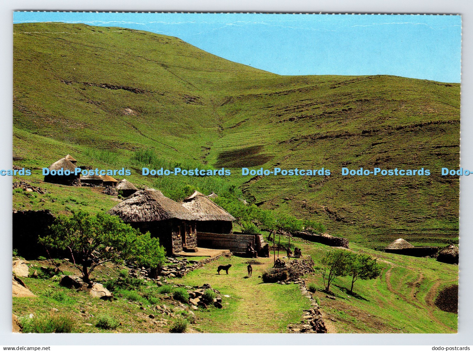 D337604 Southern Africa. Lesotho. Art Publishers. John Hone