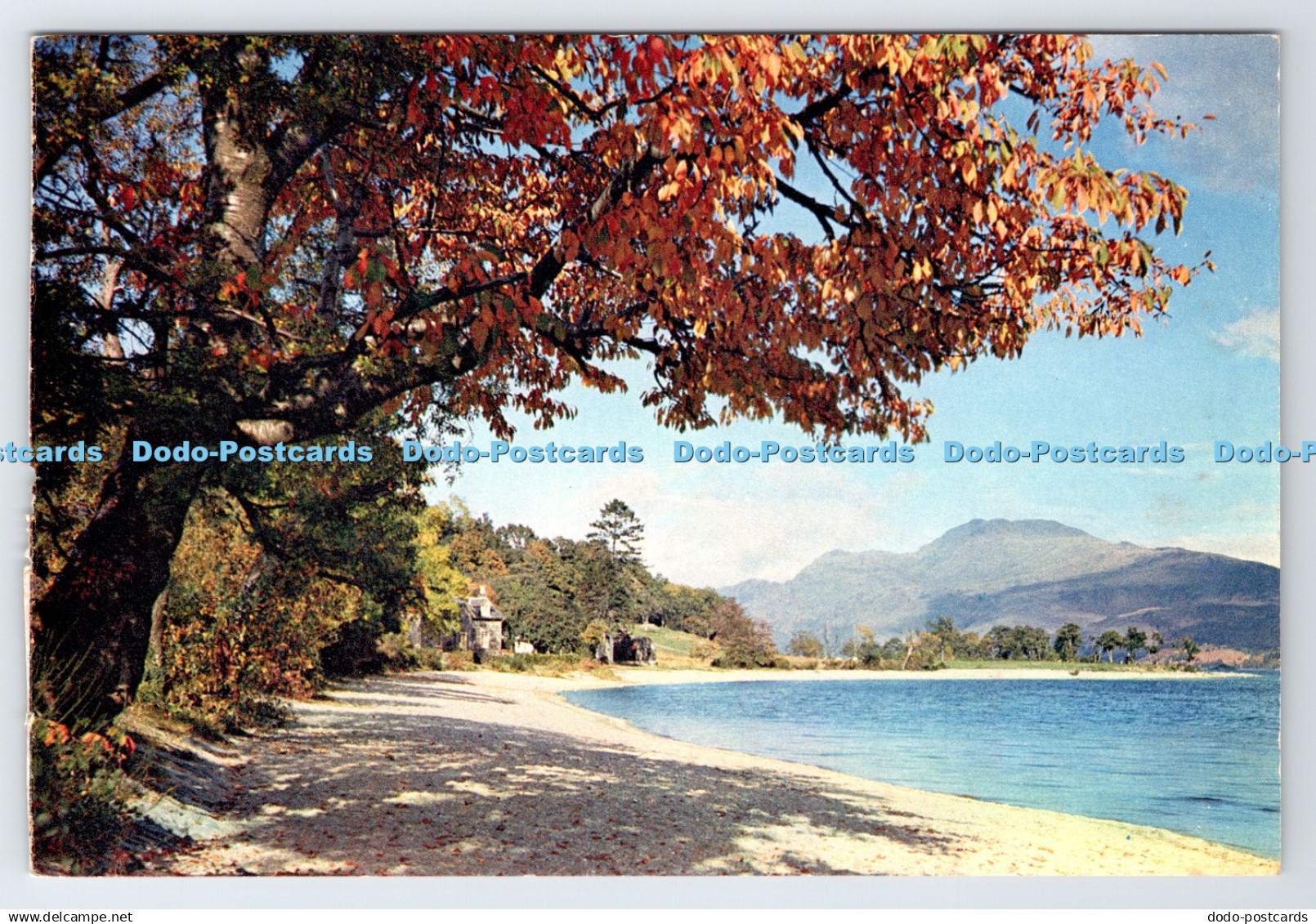 D337883 Scotland. Loch Lomond With Ben Lomond. Dunbartonshire