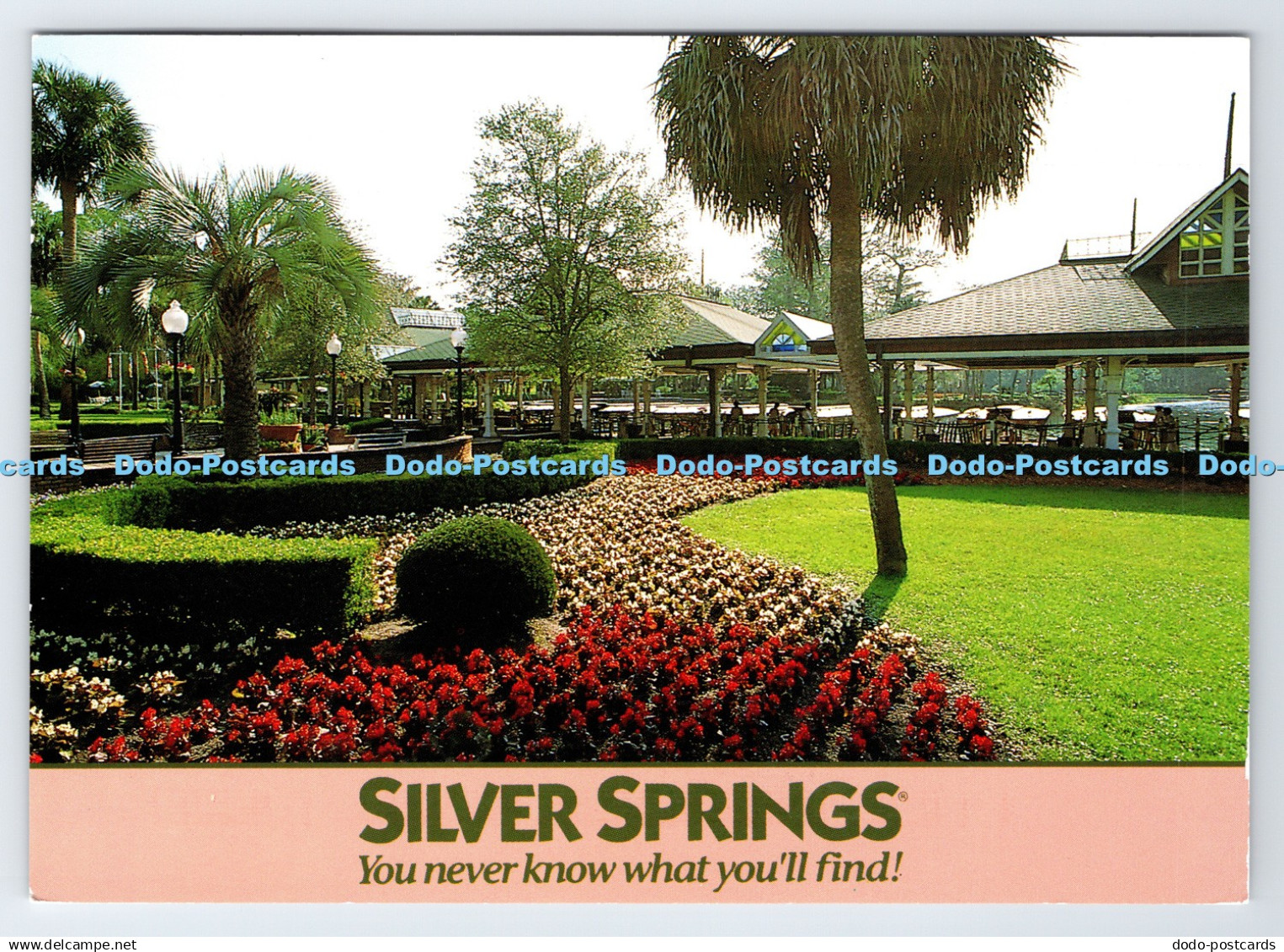 D339022 Silver Springs. Gardens at Glass Bottom Boats. Impact. Larry Mulvehill