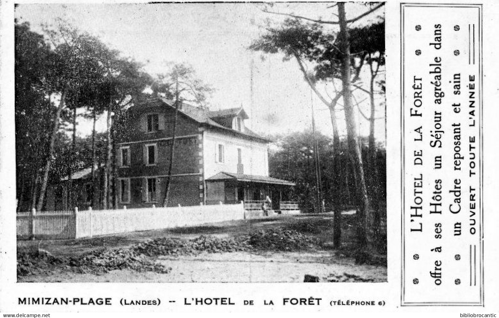 D40 MIMIZAN-PLAGE (Landes) - VUE DE L'HOTEL DE LA FORET + publicité