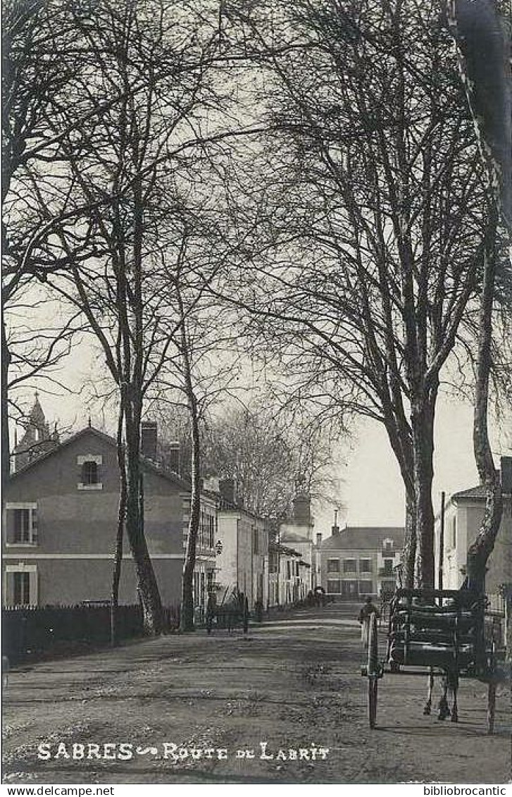 D40 SABRES - CARTE PHOTO REELLE BROMURE - VUE ANIMEE DE LA ROUTE DE LABRIT