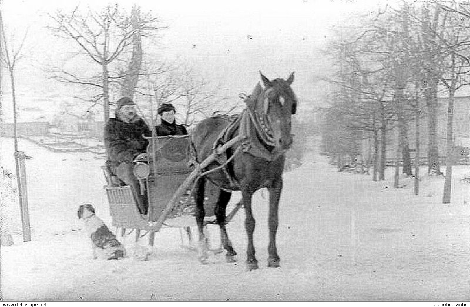 D40 TARTAS/CARTE PHOTO REELLE - MOYEN DE LOCOMOTION PAR TEMPS DE NEIGE EN 1929 ! TRAINEAU + CHEVAL