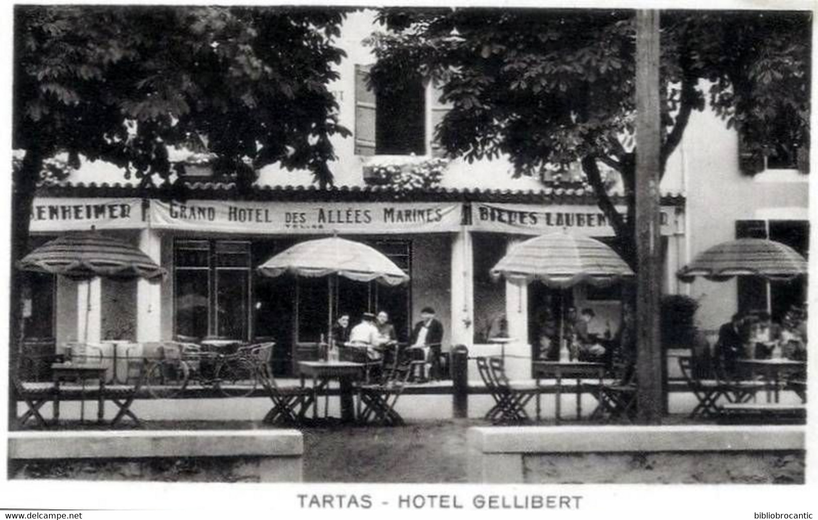 D40 - TARTAS - GRAND HOTEL DES ALLEES GELIBERT + PUB au verso