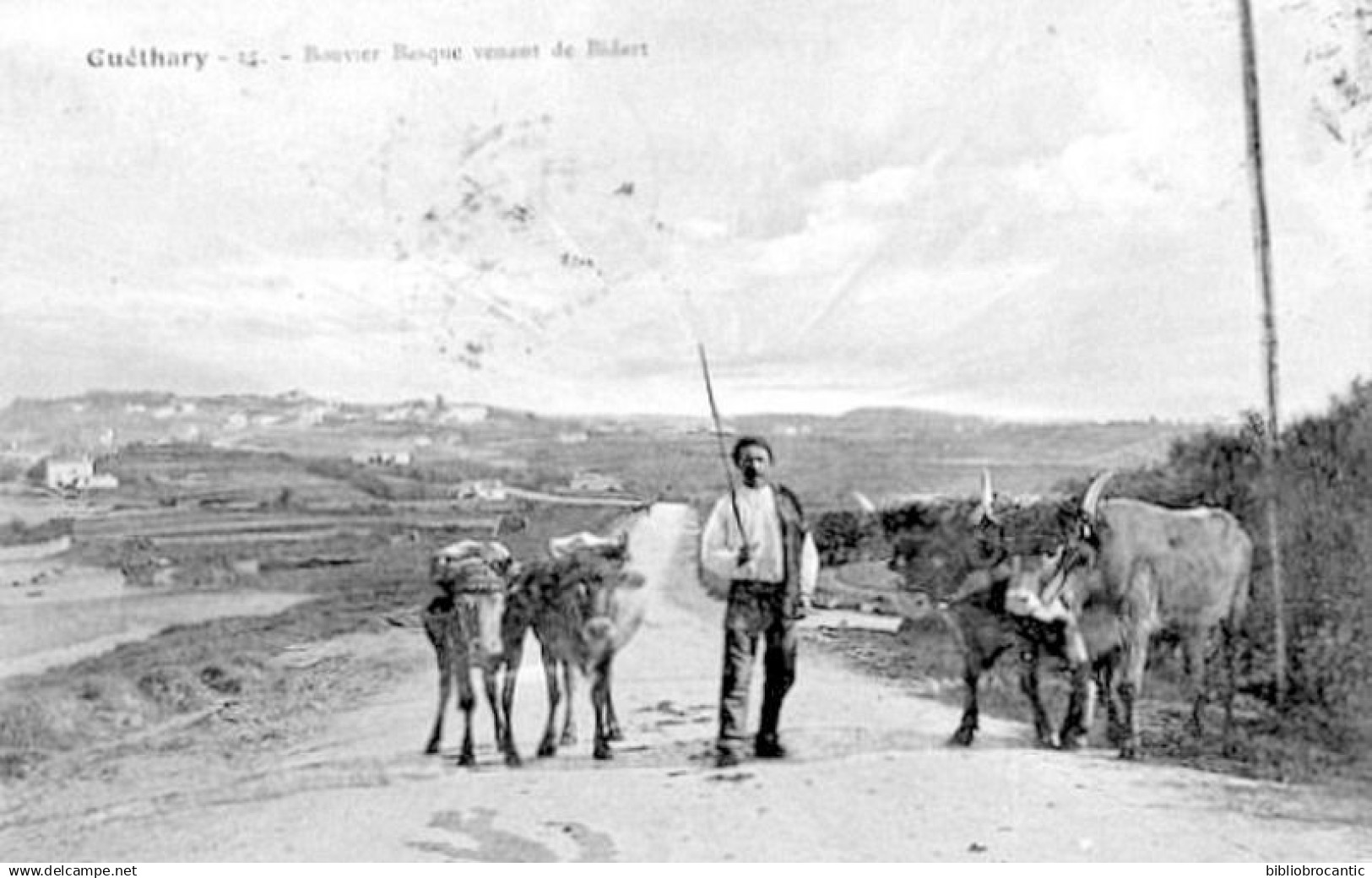 D64 - GUETHARY < BOUVIER BASQUE VENANT DE BIDART