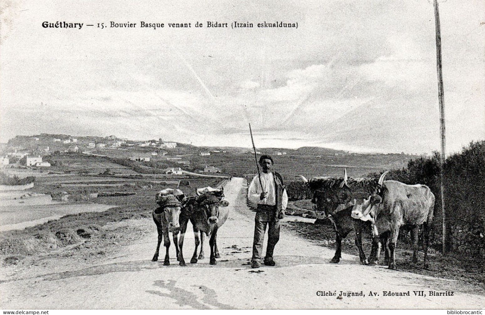D64 - GUETHARY < BOUVIER BASQUE VENANT DE BIDART