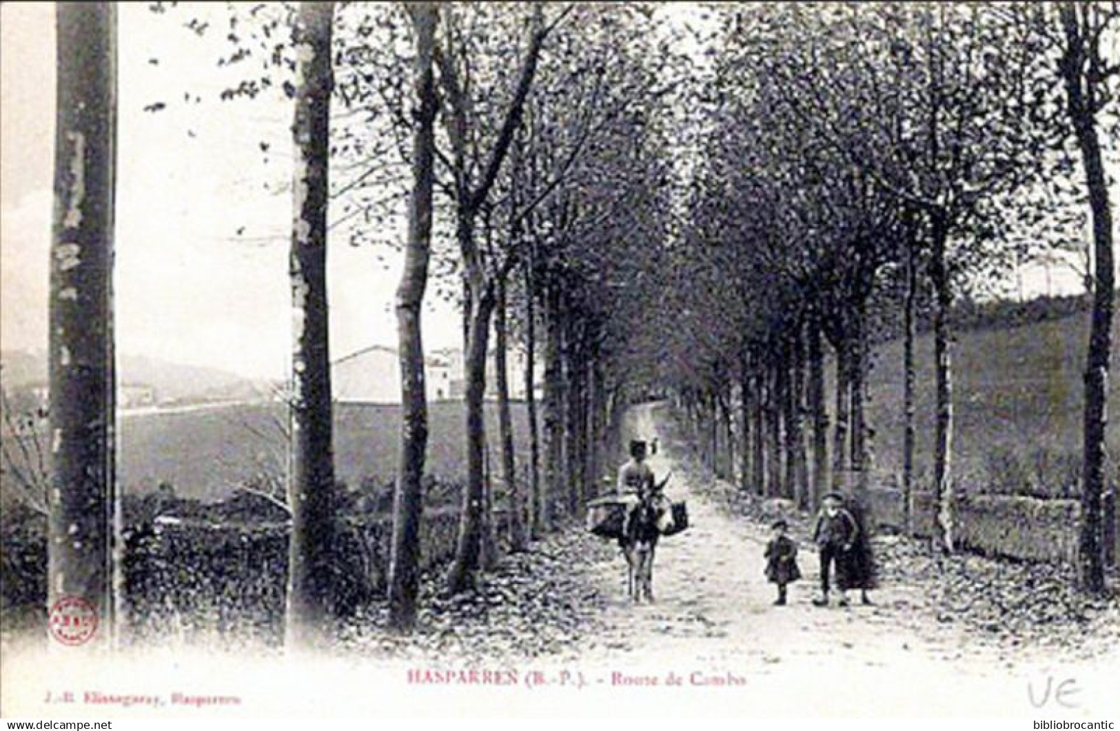 D64 - HASPARREN -  VUE ANIMEE DE LA ROUTE DE CAMBO