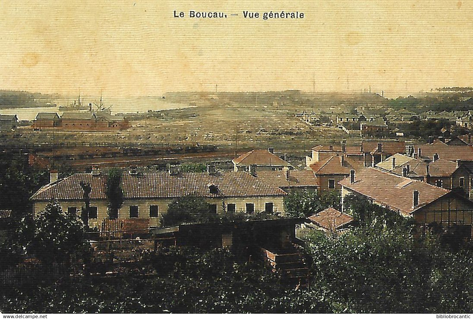 D64 LE BOUCAU /CPA TOILEE/ BELLE VUE GENERALE