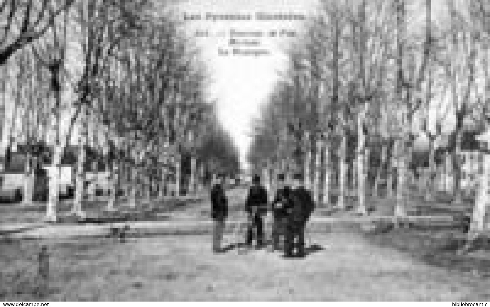 D64 -LES PYRENEES ILLUSTREES - Environ de PAU, MORLAAS < Vue animée LA HOURQUIE