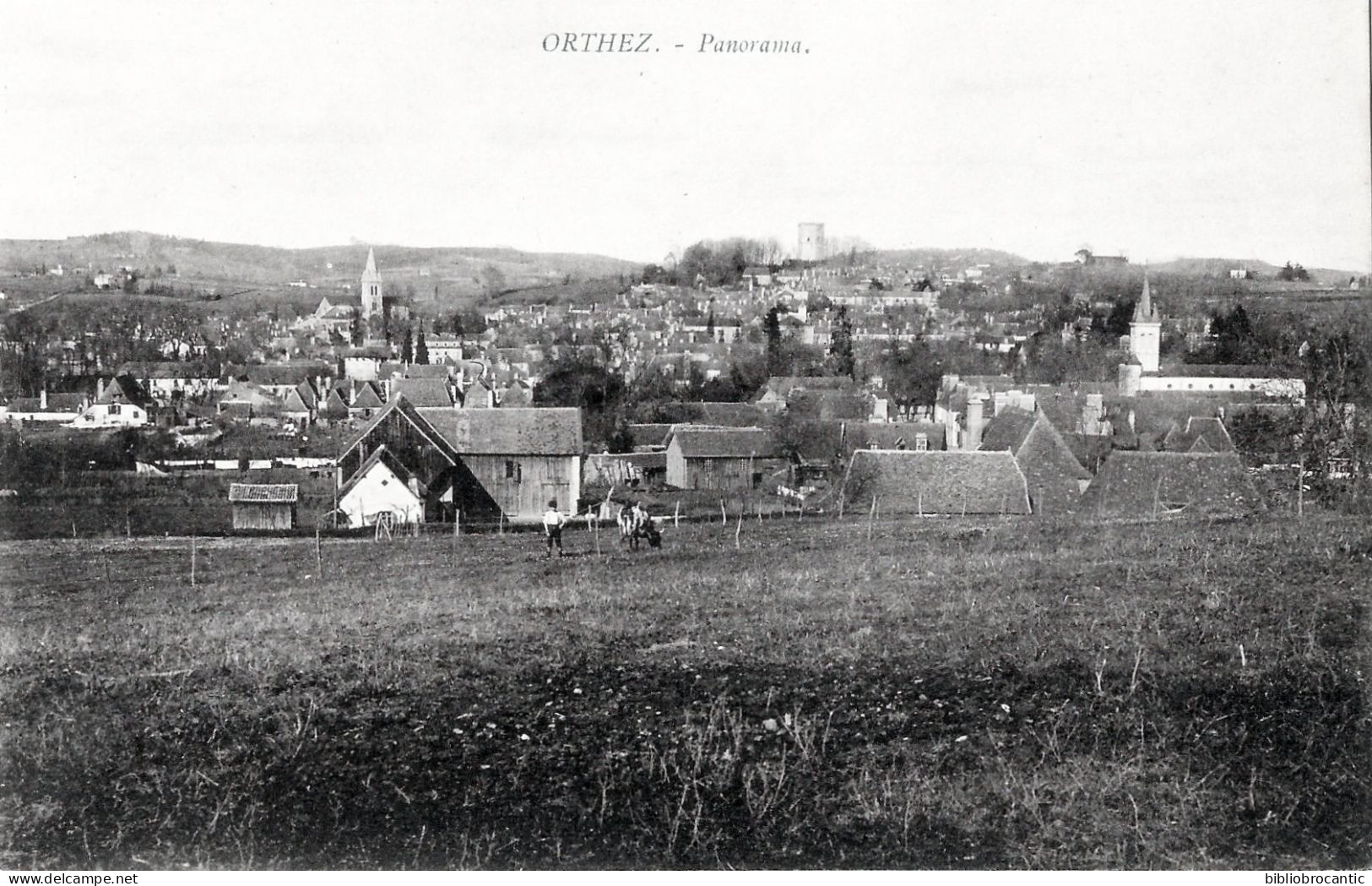 D64 - ORTHEZ - < BEAU PANORAMA avec Animation