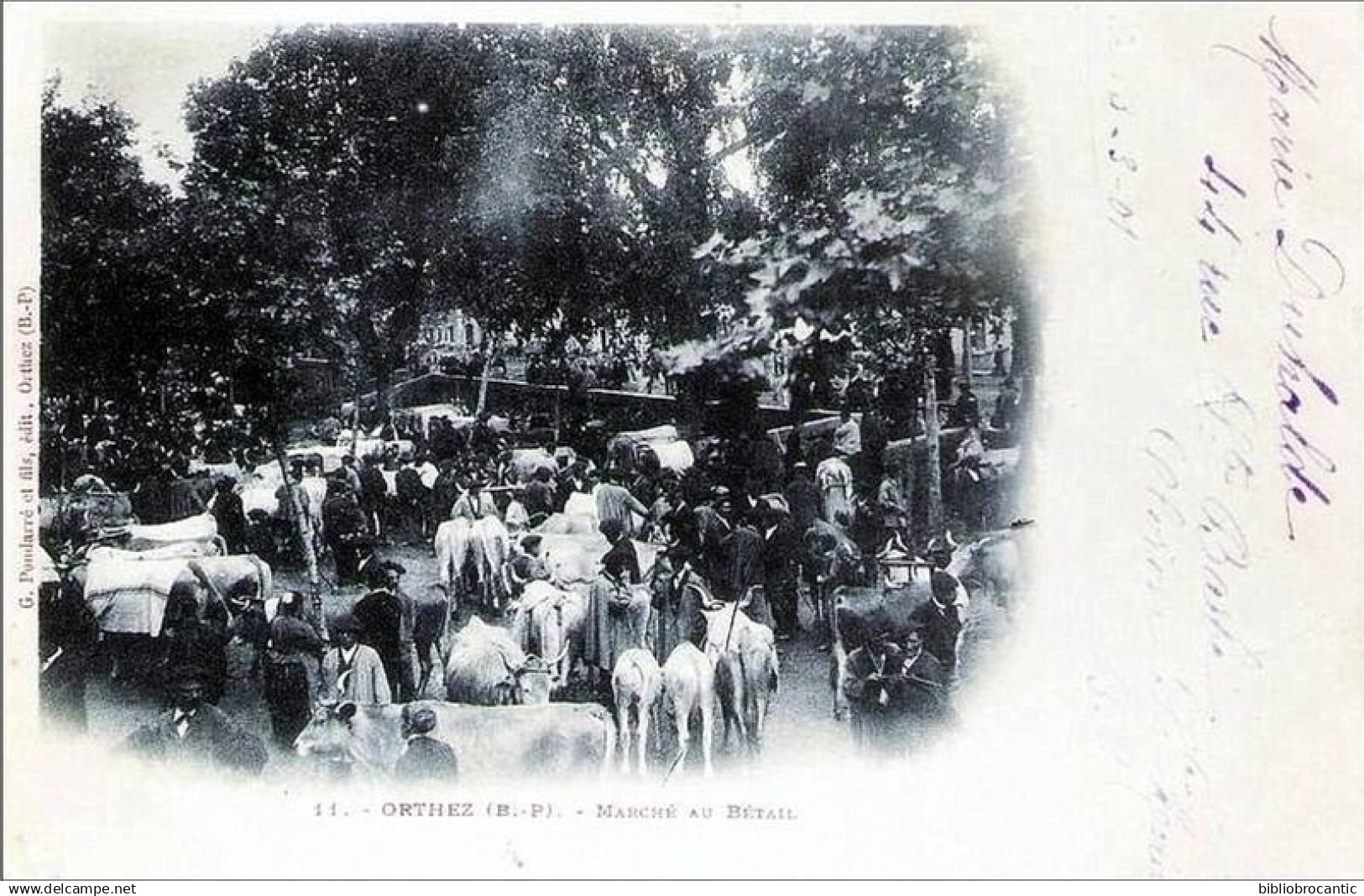D64 - ORTHEZ - Cpa précurseur - LE MARCHE AU BETAIL  - Edit.  G. PONDARRE, ORTHEZ