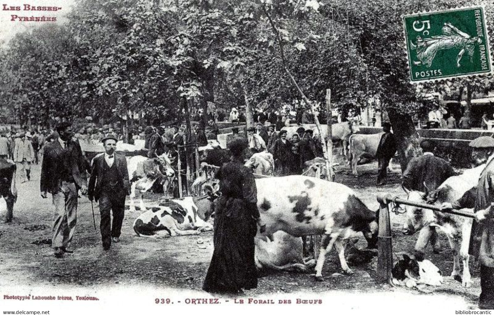 D64 - ORTHEZ - LE FOIRAIL < VUE ANIMEE DES BOEUFS