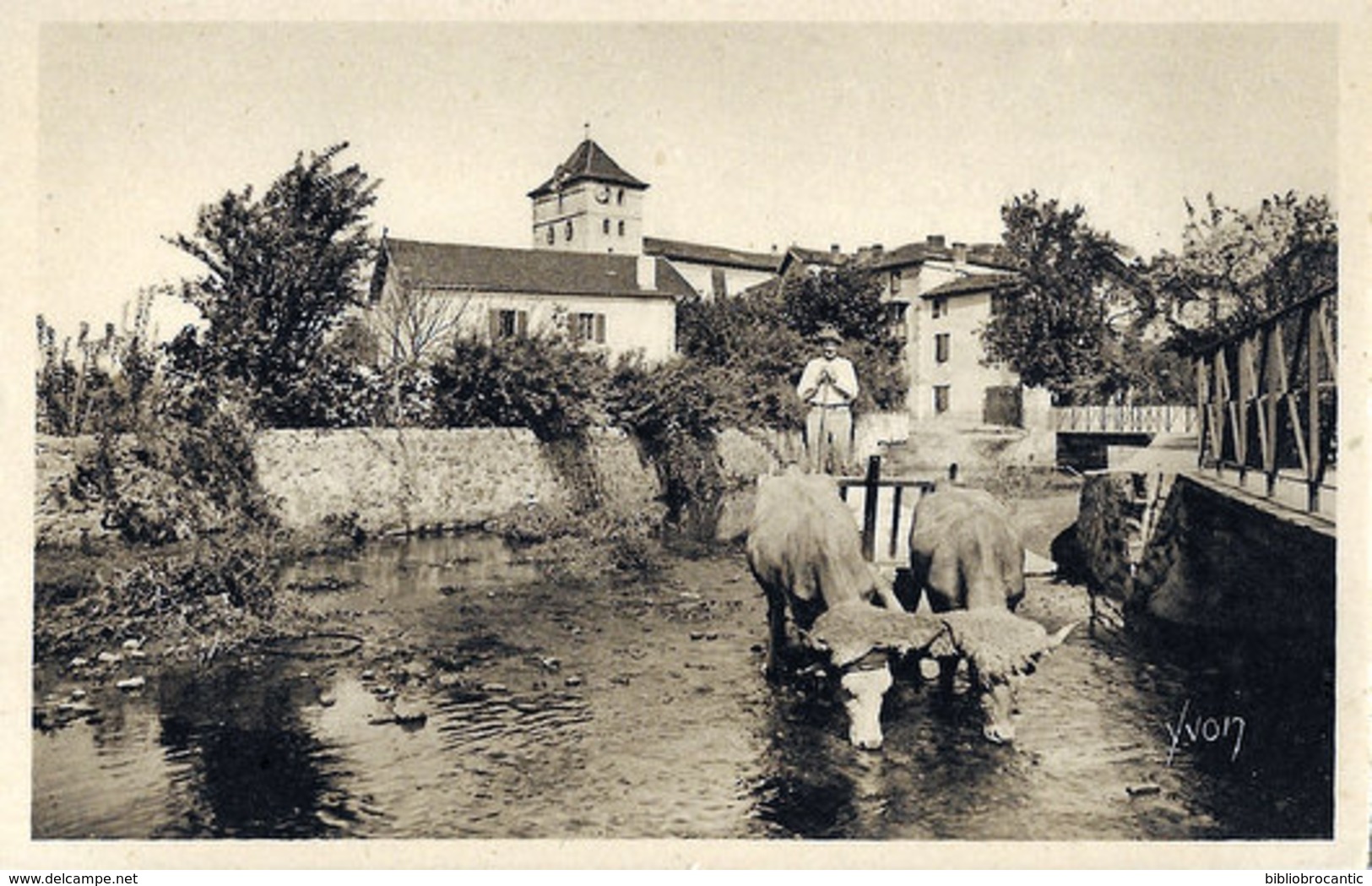 D64 PAYS BASQUE - ESPELETTE < ATTELAGE BASQUE