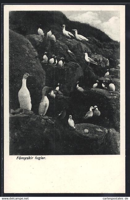 AK Färöer, Föroyskir fuglar