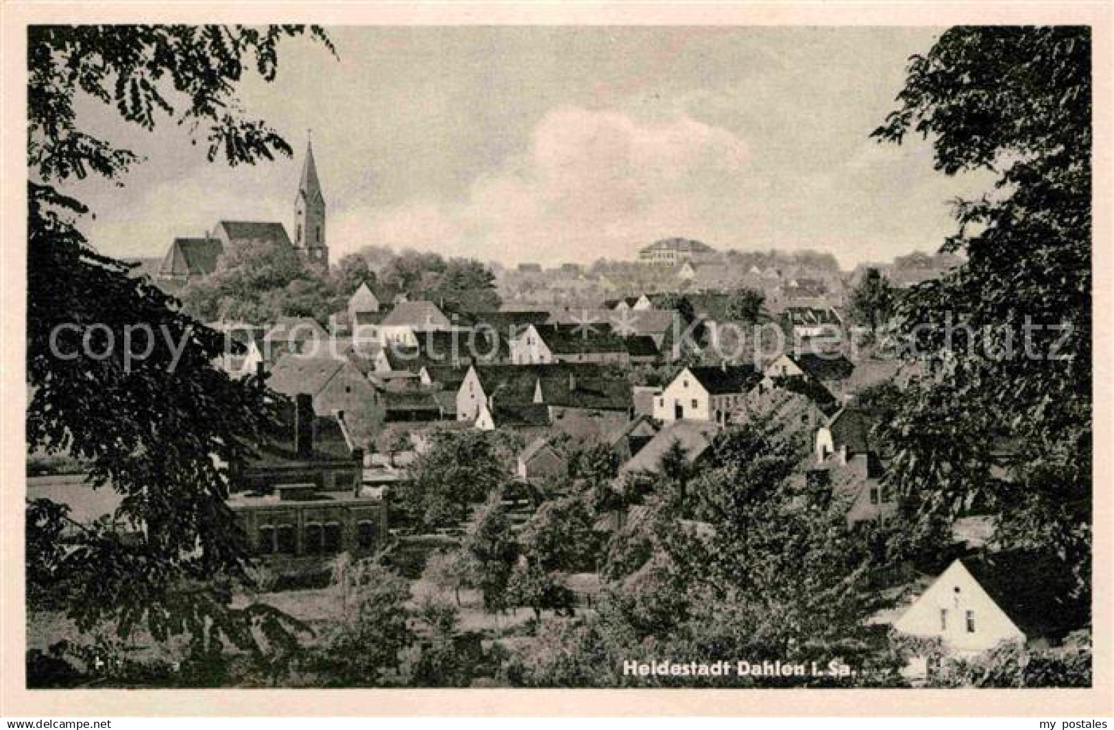 Dahlen Sachsen Panorama