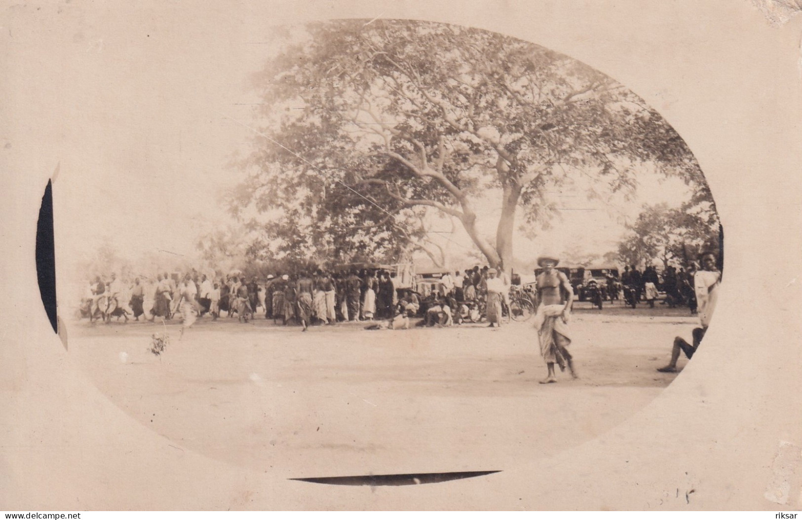 DAHOMEY(CARTE PHOTO) ARBRE