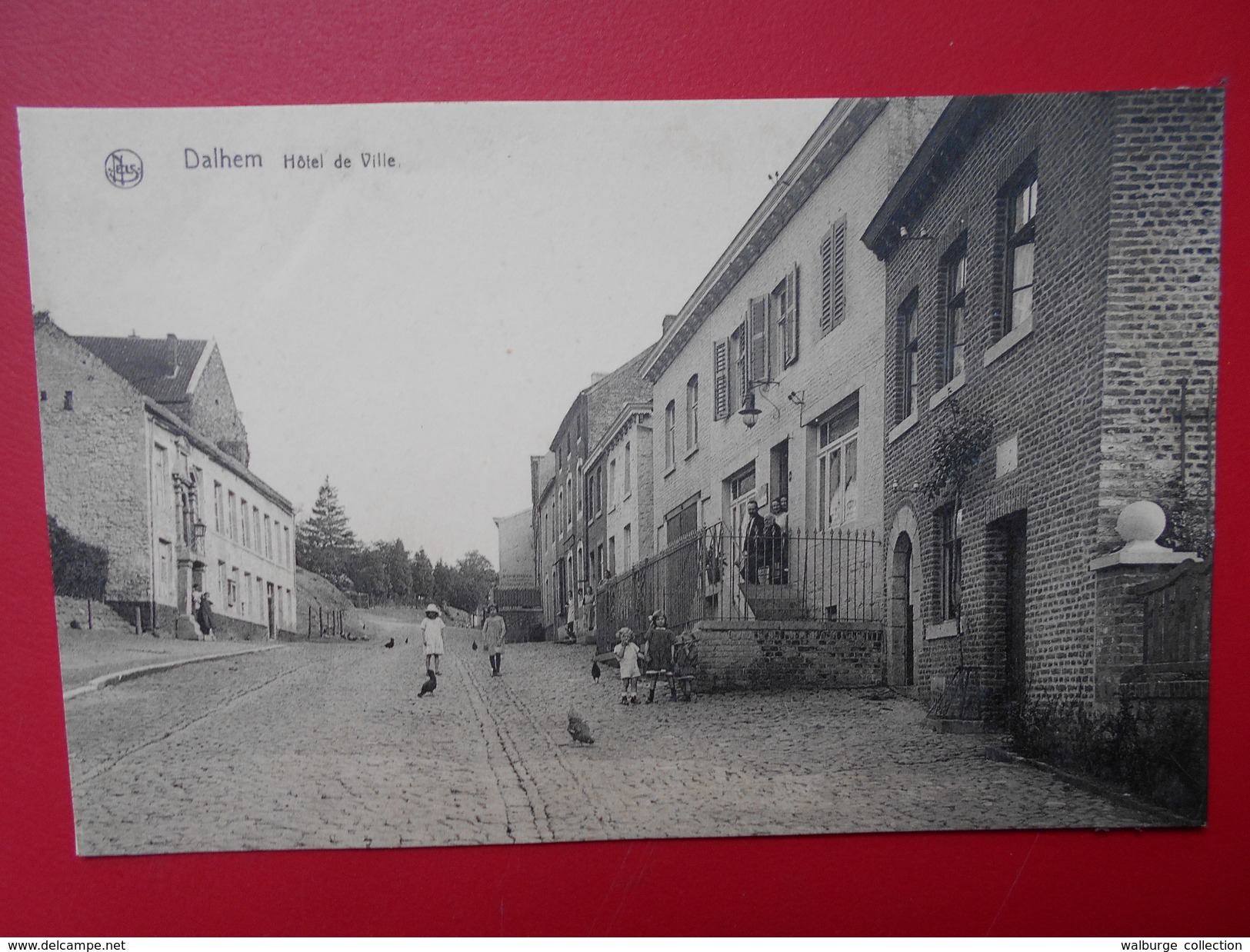 Dalhem :Hôtel de Ville-ANIMATION (D1148)