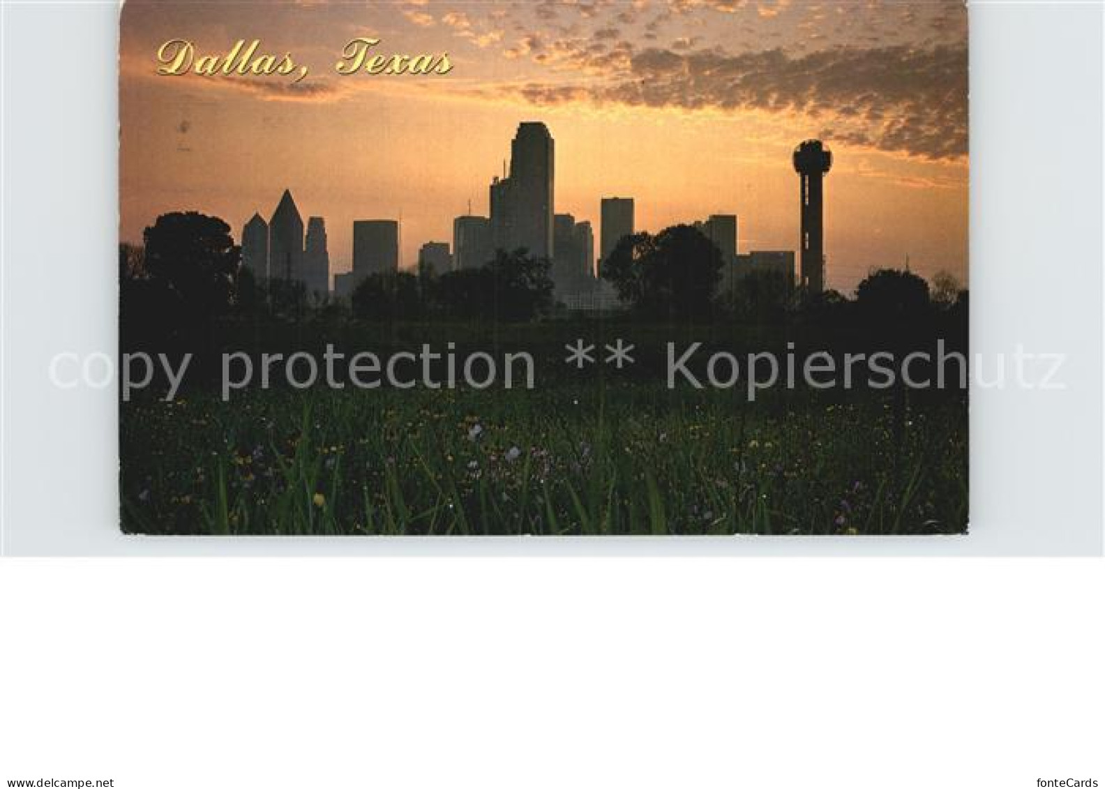 Dallas Texas Skyline