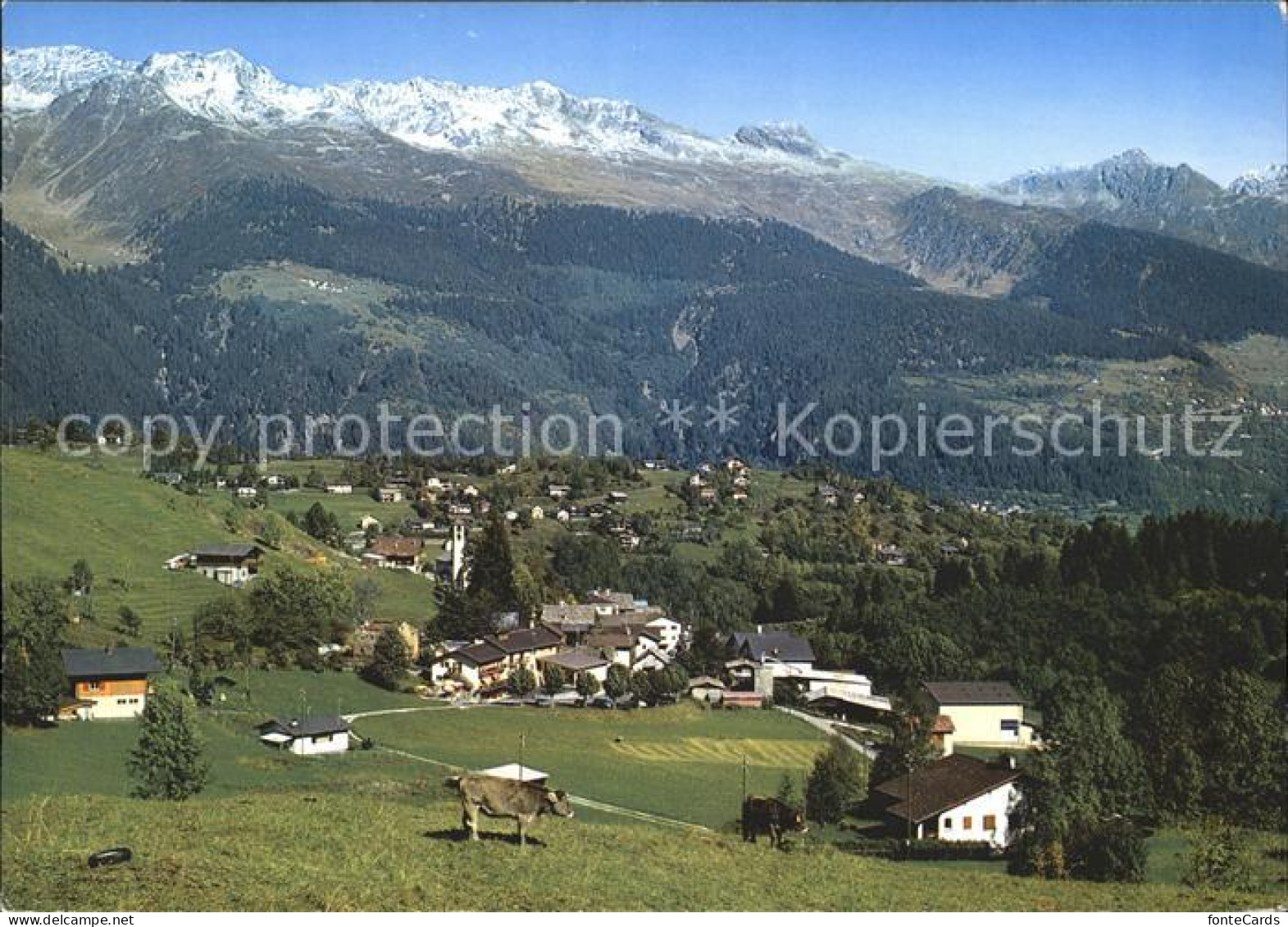 Dalpe Panorama
