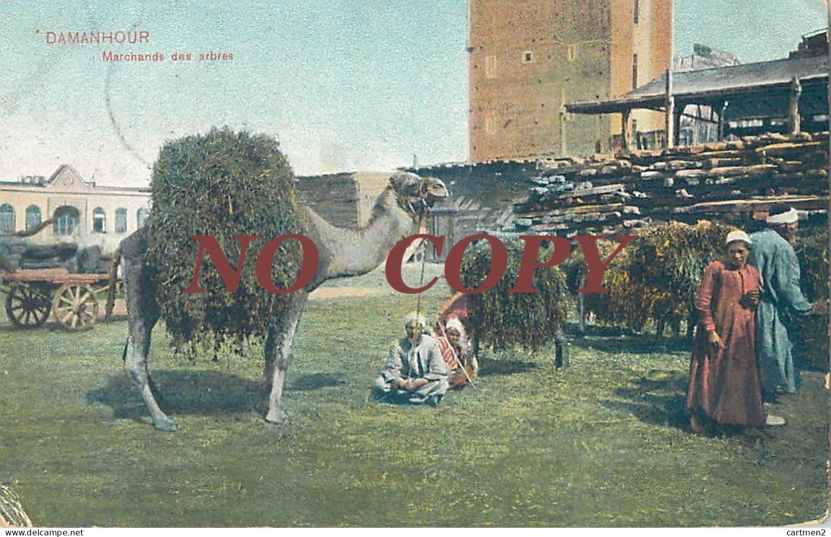 DAMANHOUR DAMANHUR MARCHANDS D'ARBRES TREES SELLER EGYPT EGYPTE