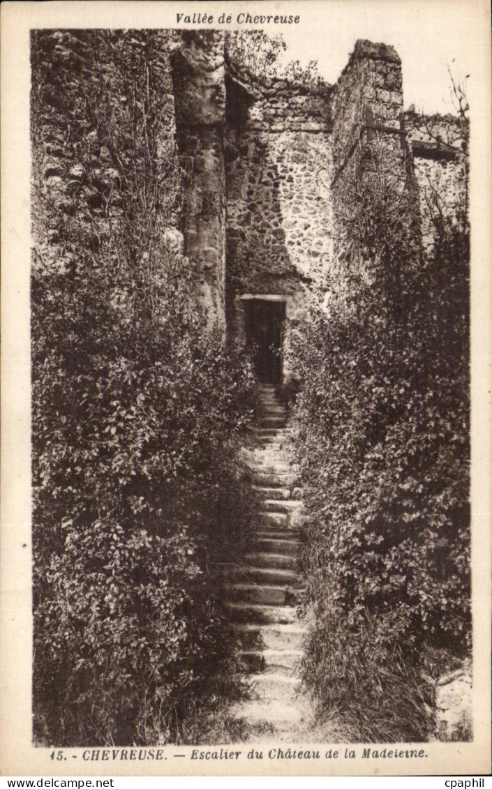 Dampierre - Escalier du Chateau - Vallee de Chevreuse CPA