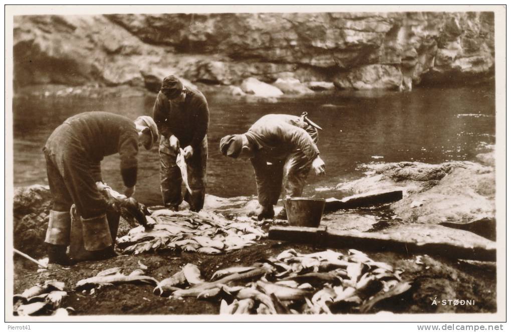 DANEMARK - DANMARK - ILES FEROE - TORSHAVN - A stodni